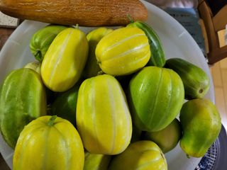 박순례님의 우리동네 · 동네수다 작성글 사진