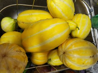 박순례님의 우리동네 · 동네수다 작성글 사진