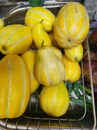 박순례님의 우리동네 · 동네수다 작성글 사진