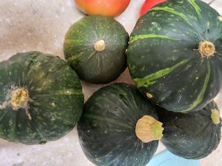 박순례님의 우리동네 · 동네수다 작성글 사진