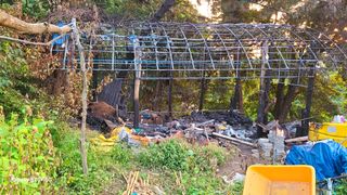 고갑윤님의 자유주제 · 자유게시판 작성글 사진