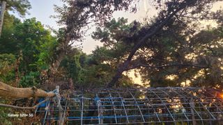 고갑윤님의 자유주제 · 자유게시판 작성글 사진