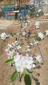 팜모닝 8월 내 작물 자랑하기·참여글 게시글 이미지