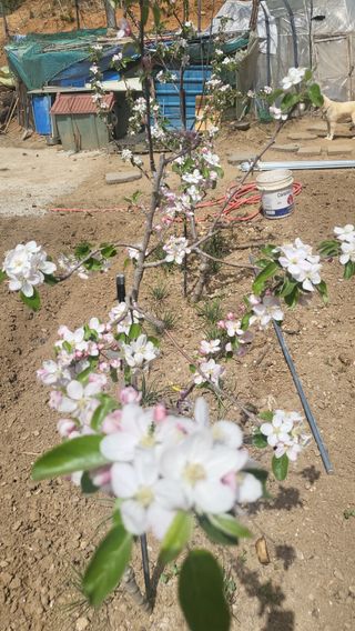 월동이님의 8월 내 작물 자랑하기 · 참여글 작성글 사진