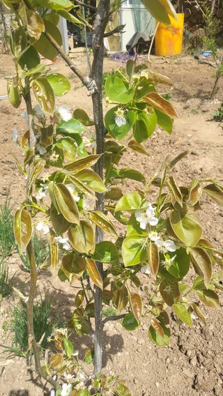 월동이님의 8월 내 작물 자랑하기 · 참여글 작성글 사진