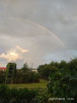 팜모닝 들깨·자유게시판 게시글 이미지