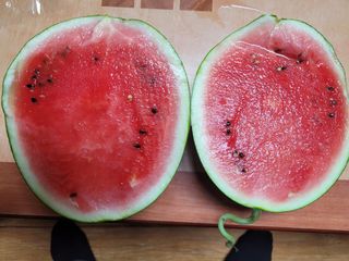 김성자님의 8월 내 작물 자랑하기 · 참여글 작성글 사진