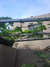 팜모닝 8월 내 작물 자랑하기·참여글 게시글 이미지