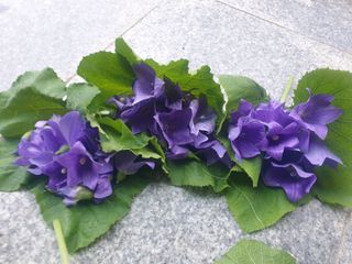 자두20879님의 자유주제 · 자유게시판 작성글 사진