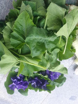 자두20879님의 자유주제 · 자유게시판 작성글 사진