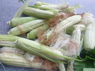 자두20879님의 자유주제 · 자유게시판 작성글 사진