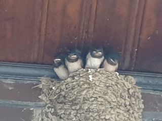 자두20879님의 자유주제 · 자유게시판 작성글 사진