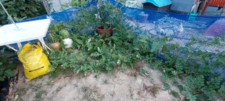 김동주님의 8월 내 작물 자랑하기 · 참여글 작성글 사진