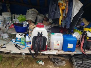 당근한개님의 고추 · 일상 작성글 사진