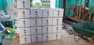 전봉우(채미농원)님의 고추 · 수확 작성글 사진