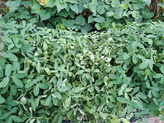 가물치님의 자유주제 · 칭찬해요 작성글 사진