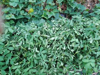 가물치님의 자유주제 · 칭찬해요 작성글 사진