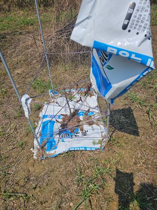 황종현님의 자두 · 영농일지 작성글 사진