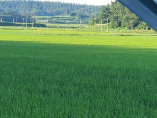 손지종회원님의 8월 내 작물 자랑하기 · 참여글 작성글 사진