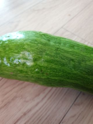 박상권님의 호박 · 병해충상담 작성글 사진