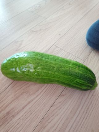 박상권님의 호박 · 병해충상담 작성글 사진