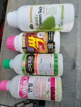 팜모닝 콩·자유게시판 게시글 이미지