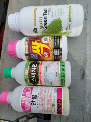 화양청정계곡농장님의 콩 · 자유게시판 작성글 사진