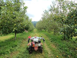 전락구님의 사과 · 영농일지 작성글 사진