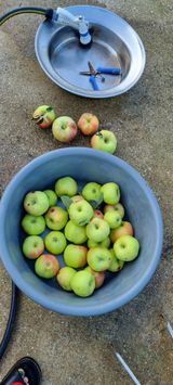 팜모닝 8월 내 작물 자랑하기·참여글 게시글 이미지