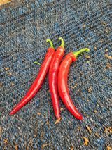 팜모닝 8월 내 작물 자랑하기·참여글 게시글 이미지