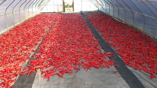 윤형식 님의 자유주제 · 자유게시판 작성글 사진