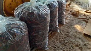 윤형식 님의 자유주제 · 자유게시판 작성글 사진