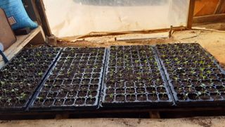 윤형식 님의 자유주제 · 자유게시판 작성글 사진