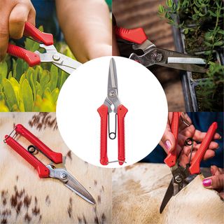 일꾼의탄생님의 작성글 사진