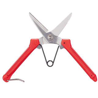 일꾼의탄생님의 작성글 사진