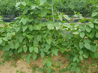 주옥님의 자유주제 · 자유게시판 작성글 사진