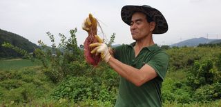 김기섭님의 8월 내 작물 자랑하기 · 참여글 작성글 사진