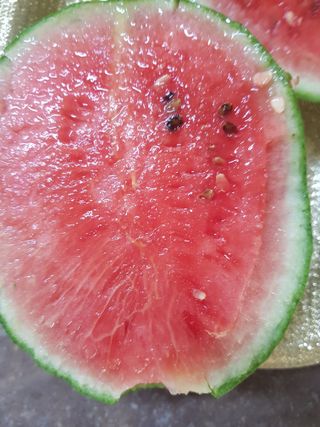 코알라님의 8월 내 작물 자랑하기 · 참여글 작성글 사진