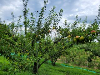 김태권님의 8월 내 작물 자랑하기 · 참여글 작성글 사진
