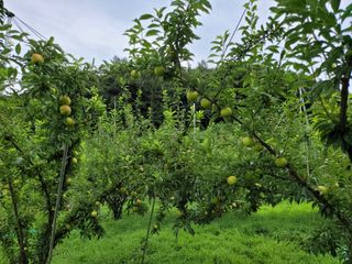 김태권님의 8월 내 작물 자랑하기 · 참여글 작성글 사진