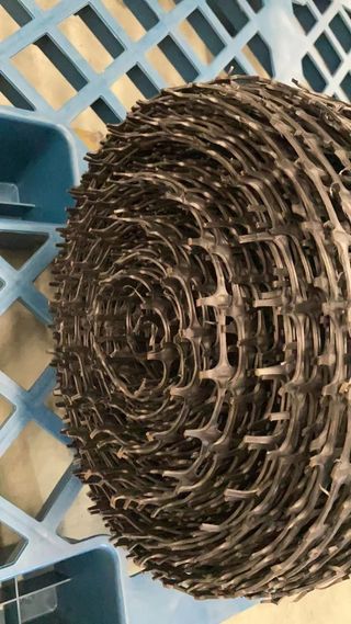 다이쏘(권자영)님의 작성글 사진