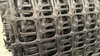 다이쏘(권자영)님의 작성글 사진