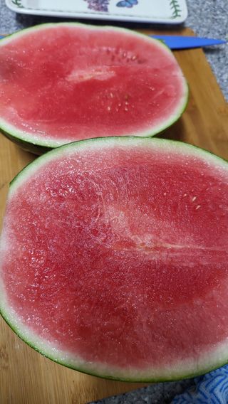 방촌대장님의 8월 내 작물 자랑하기 · 참여글 작성글 사진