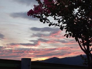 임상빈님의 자유주제 · 자유게시판 작성글 사진