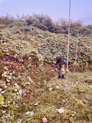 김회철님의 기타작물 · 자유게시판 작성글 사진