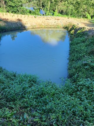 지리산자락님의 자유주제 · 자유게시판 작성글 사진