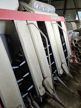 박명철님의 작성글 사진