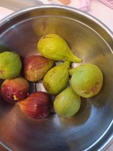 팜모닝 8월 내 작물 자랑하기·참여글 게시글 이미지