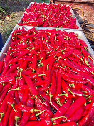 김용석님의 작성글 사진