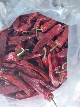 김용석님의 작성글 사진